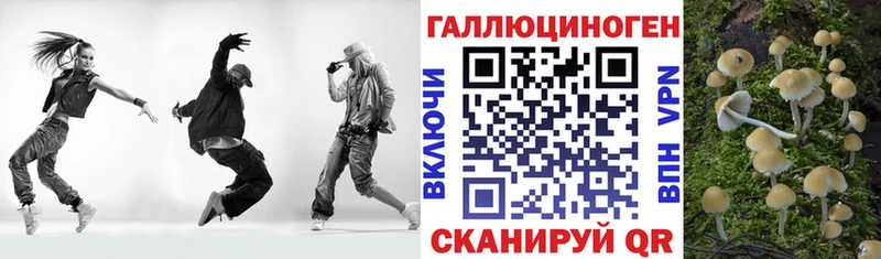 Купить закладки  Ильский  Псилоцибиновые грибы Magic Shrooms 